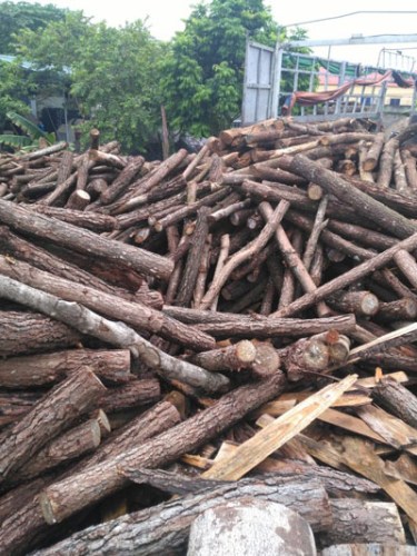 Củi gỗ - Chất Đốt Mùn Cưa Minh Anh - Công Ty TNHH Đầu Tư Sản Xuất Và Thương Mại Tổng Hợp Minh Anh